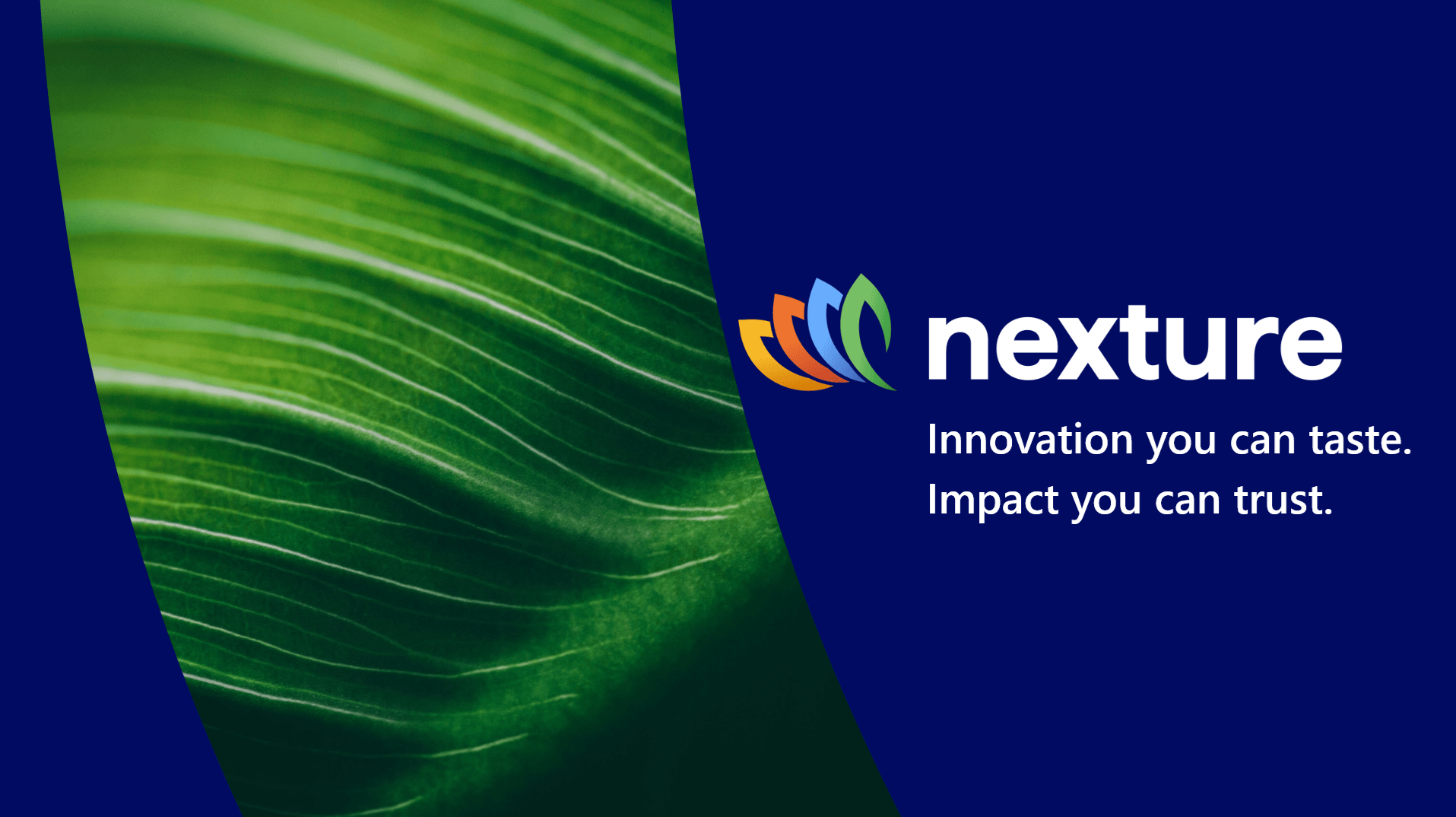 nexture logo